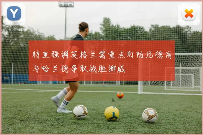 特里强调英格兰需重点盯防厄德高与哈兰德争取战胜挪威