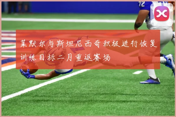 莱默尔与斯坦尼西奇积极进行恢复训练目标二月重返赛场