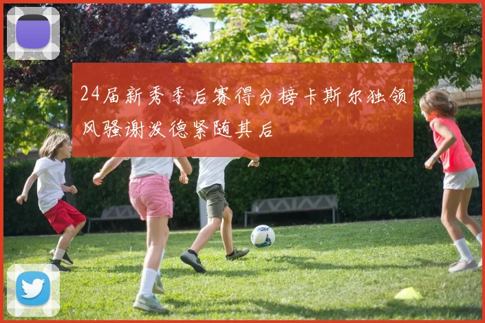 24届新秀季后赛得分榜卡斯尔独领风骚谢泼德紧随其后